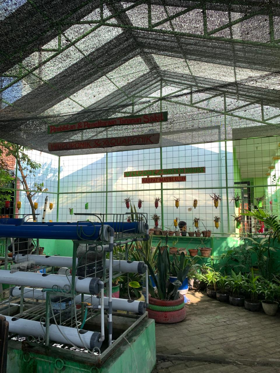 Greenhouse
